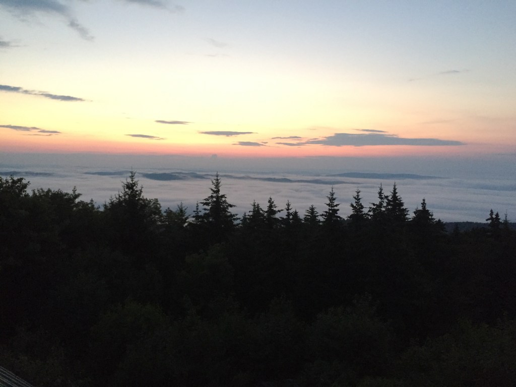 Vermud: A Place Of Great Surprises 