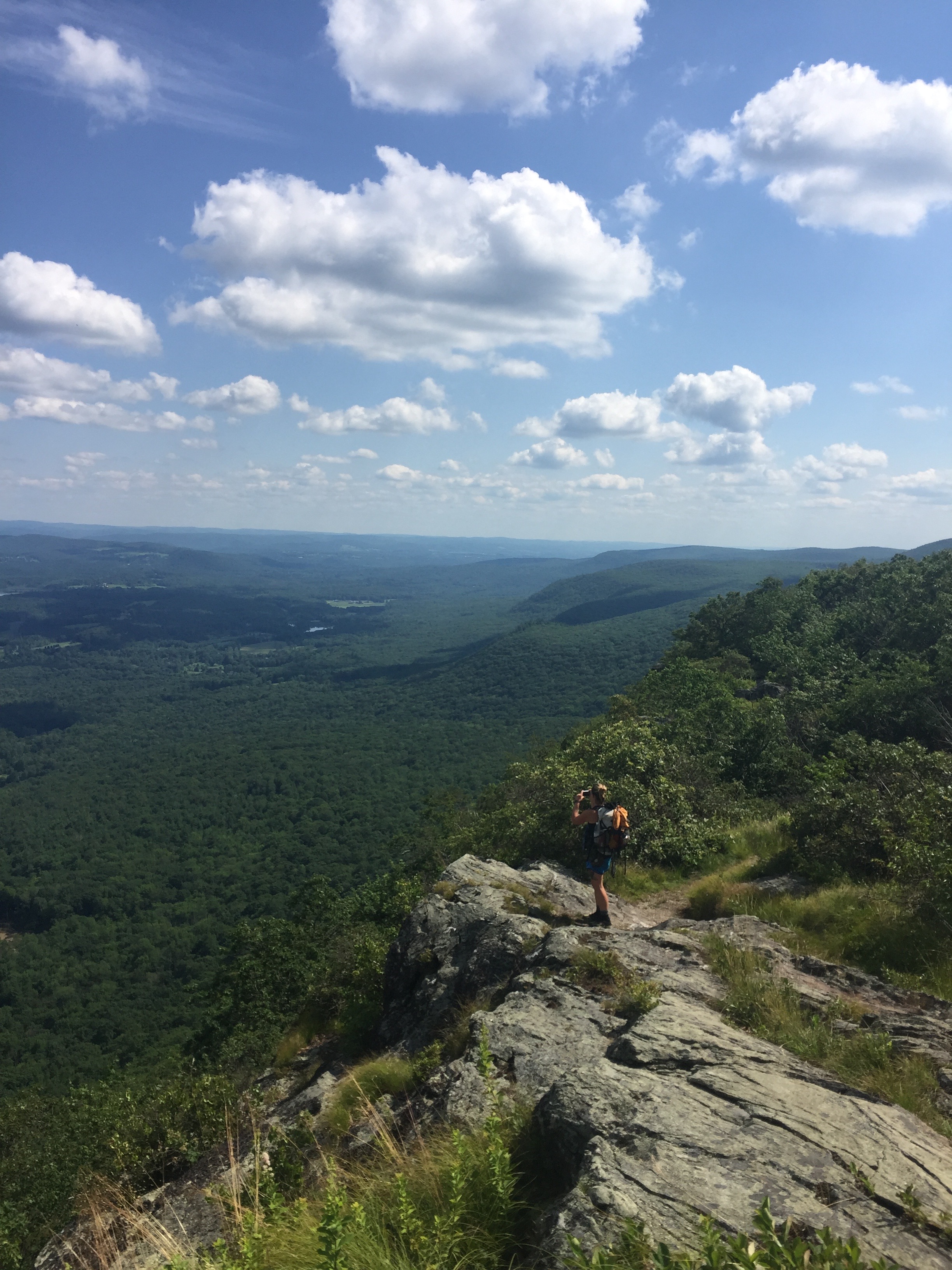 Ridge line on Race Mt.