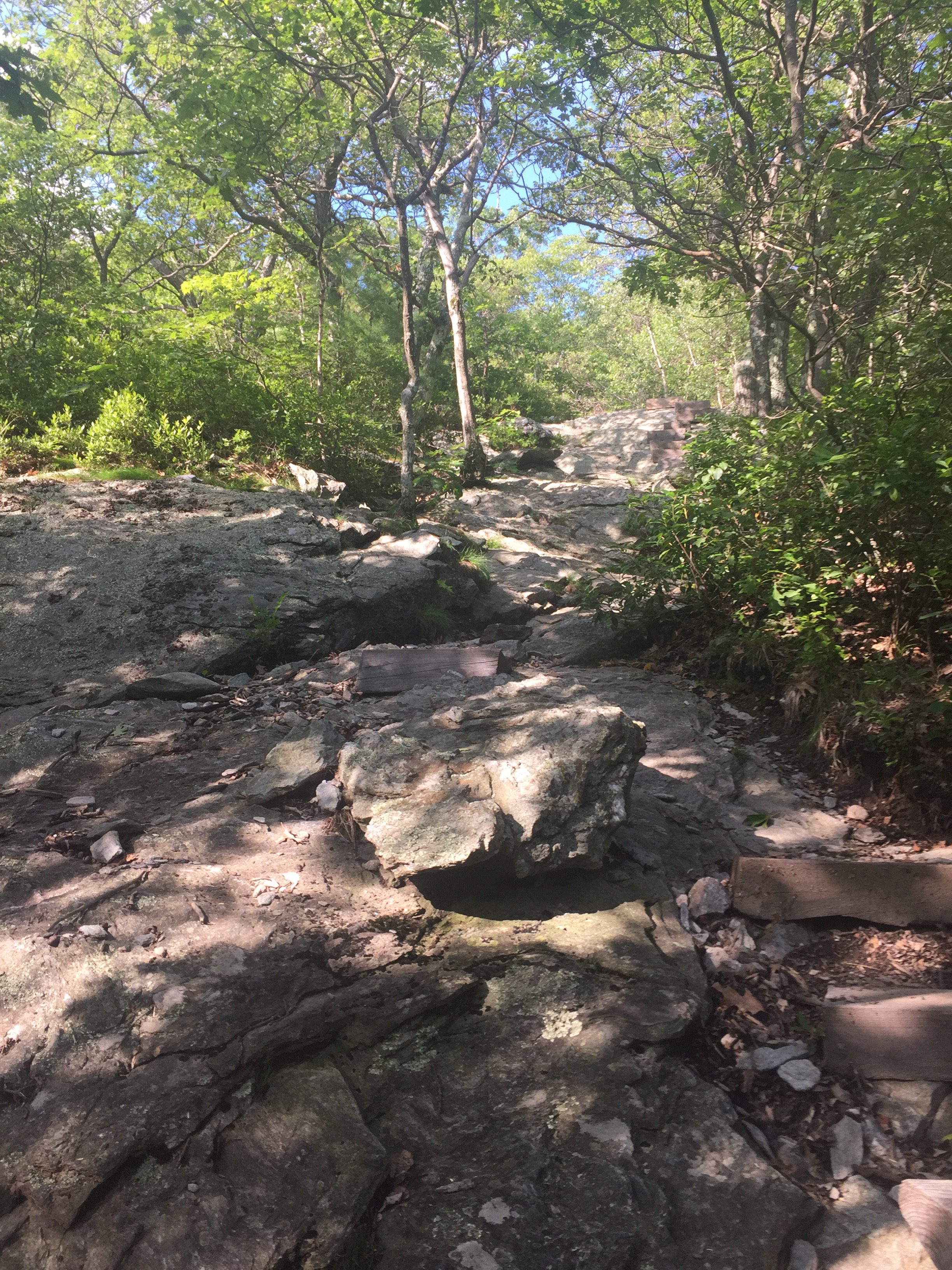 Climb up Mt. Everett