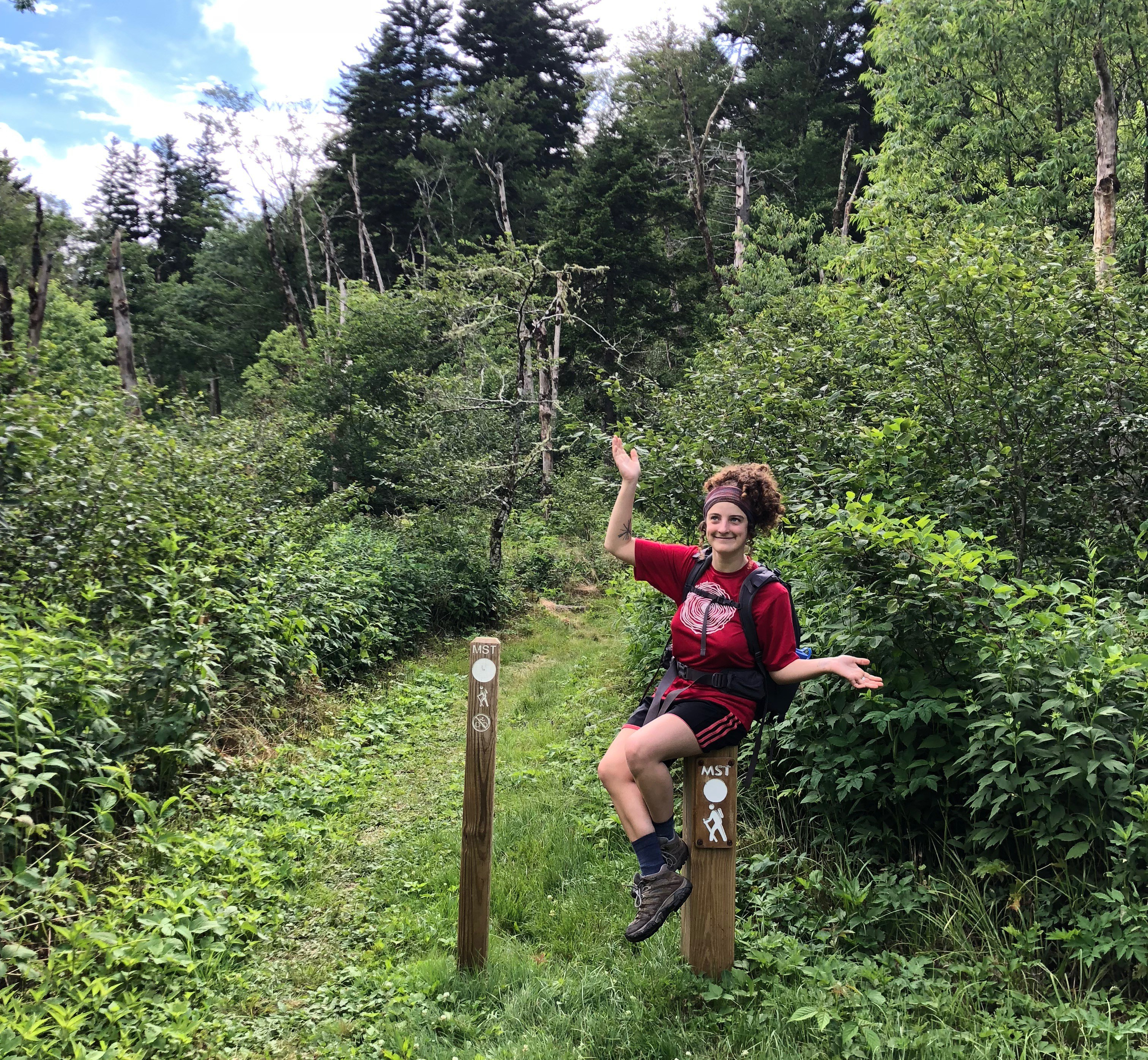 Balsam Gap MST Trailhead