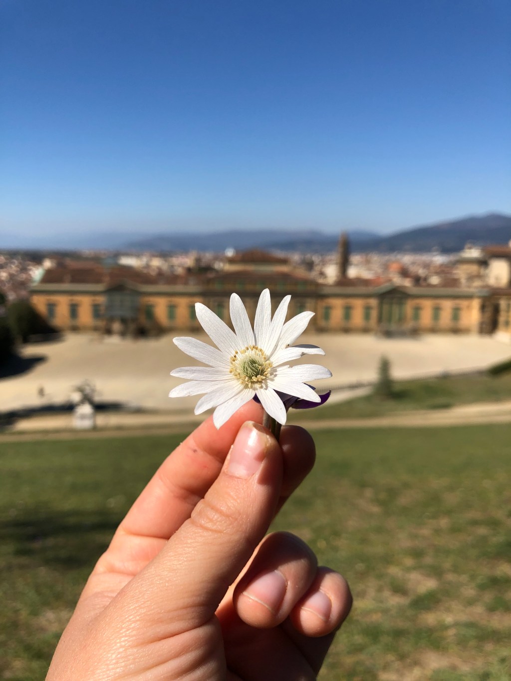 Vivere in Italia: Firenze&nbsp;(2)